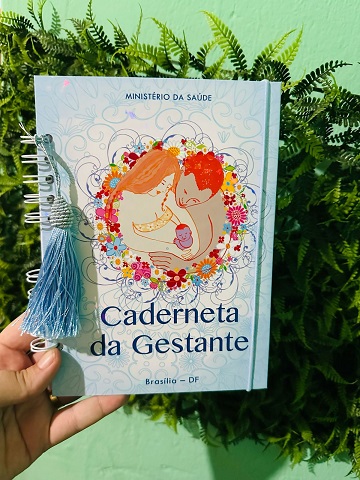 BOBBIE GOODS: arte que encanta adultos e crianças ganha destaque com designer de Água Clara-MS 2 Carla gestante
