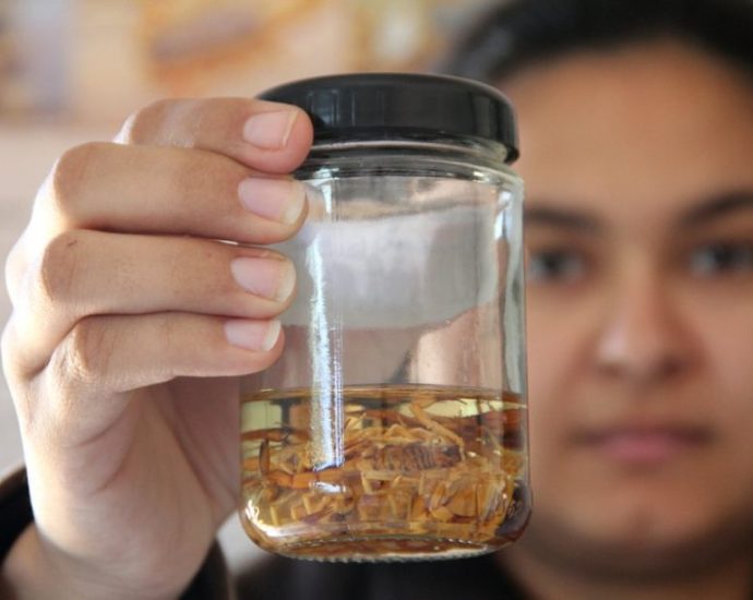 WhatsApp Image 2022 05 04 at 15.24.39