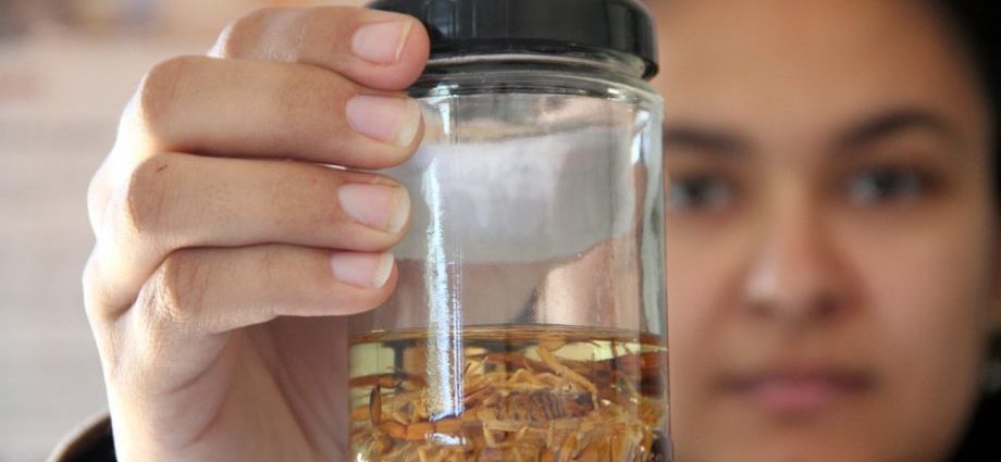 WhatsApp Image 2022 05 04 at 15.24.39