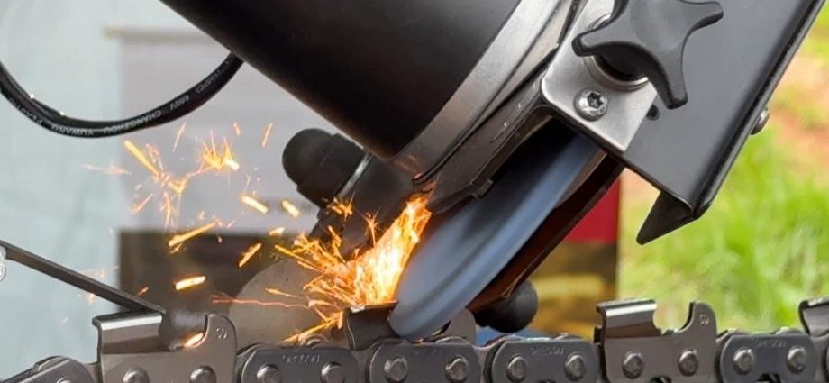 Mercado de trabalho Três LAGOAS: DESEMPENHO SÓLIDO 1 FEIRA FLORESTAL 2025FEIRA FLORESAL 20 08 16 scaled 1